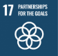 partnerships for the goals