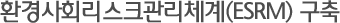 ȯ°æ»çȸ¸®½ºÅ©°ü¸®Ã¼°è(ESRM) ±¸Ãà