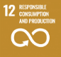 responsible consumption and production